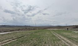 Nevruz Geldi, Doğa Canlandı