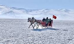 Çıldır Gölü'nde atlı kızak sezonu sona eriyor