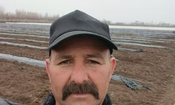 İlk Karpuz Ekimi Yapıldı