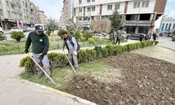 Iğdır’da Bahar Temizliği Orta Refüjler Yenileniyor