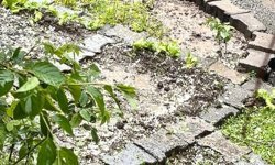 Iğdır'ın Karakoyunlu İlçesinde Sağanak Yerini Doluya Bıraktı