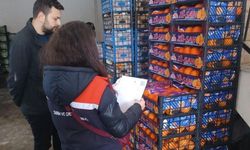 Iğdır’da Toptancı Hallerinde Sıkı Takip: Pestisit Denetimi Yapıldı