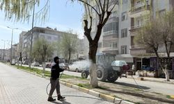 Iğdır’da Ağaçlar Hastalıklara Karşı İlaçlanıyor