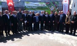 4 Buçuk milyon fidan toprakla buluşturuldu