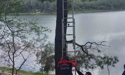 Ağaca takılan kargayı itfaiye kurtardı