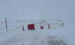 Ardahan-Ardanuç kara yolu kar ve tipi nedeniyle ulaşıma kapatıldı