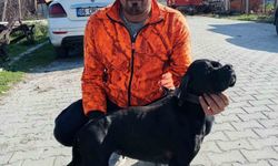 Arıtma tesisindeki çamur çukuruna araçla düşen işçi hayatını kaybetti