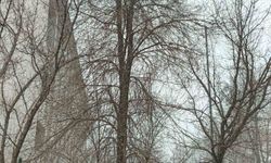 Bahar gelmeden kış geri döndü; Diyadin'e kar sürprizi