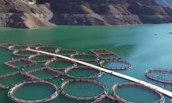 Erzurum'da 3,38 milyar destekle 5 bin 226 kişilik istihdam oluştu