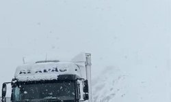 Erzurum'da ulaşıma kar engeli