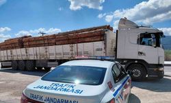 Fazla tonajlı tomruk taşıyan kamyon sürücüsüne para cezası kesildi