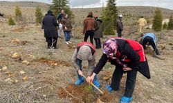Fidan dikim etkinliği
