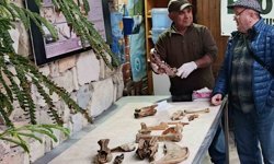Fırtına sonrası ortaya çıkan kemikler incelendi