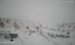 Köye inen kurt sürüsü kameraya yansıdı