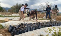 Liselilerden bölge tarımına büyük katkı