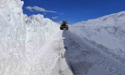 Van'da 5 metreyi bulan karda yol açma çalışması