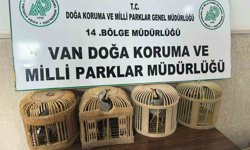 Van'da keklik avlayan şahsa 86 bin 278 lira para cezası