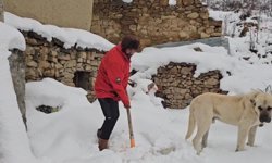 Yüksek kesimlere kar yağdı