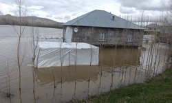 Ağrı'da sağanak yağış sonucu dereler taştı