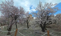 Akdamar Adası'nda renk cümbüşü