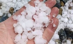 Dolu kayısı bahçelerine zarar verdi