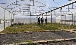 Iğdır Belediyesi Kendi Çiçeklerini Üretiyor