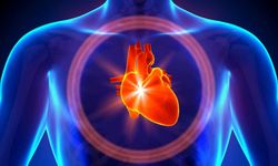 Direksiyon başında kalp krizi geçiren sürücü hayatını kaybetti