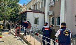 İntihar ettiği söylenen genç kadının cinayete kurban gittiği ortaya çıktı