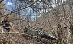 Otomobil şarampole uçtu: 2 yaralı