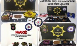 Uyuşturucu operasyonu: 30 tutuklama