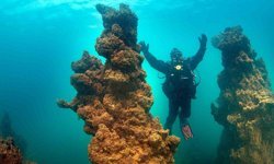 Van Gölü'nün mikrobiyalitleri Guinness için ön elemeyi geçti