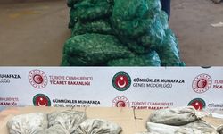 760 kilo kaçak midye ele geçirildi