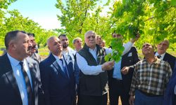 Bayraktar: “Iğdır’da Don Olayından Zarar Gören Çiftçimizin Ankara’da Takipçisi Olacağız”