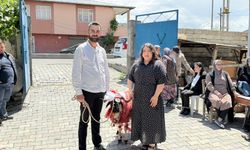 Nişanlı kızlara koç gönderildi