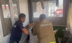 Eve giren yılanı itfaiye yakaladı