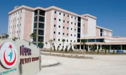 IĞDIR'DA DOĞUM ORANLARI ALARM VERİYOR: BÖLGEDE ÇARPICI VERİLER!