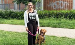 Köpek sahiplerine sigorta şartı