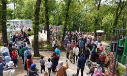 Macera parkı açıldı