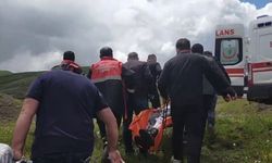 Mantar toplarken ayı saldırısına uğrayarak parmağından oldu