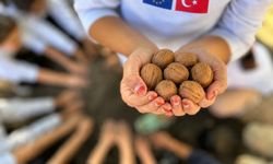 Van TSO AB Bilgi Merkezi'nden 'Çevre Bilinci' etkinliği