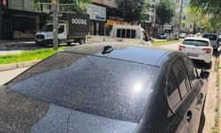 IĞDIR’DA GÖKYÜZÜNDEN YAĞMUR YERİNE ÇAMUR YAĞDI!