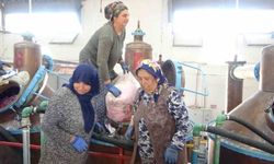 4 Ton gülden elde edilen yağın kilosu 12 bin avroya alıcı buluyor