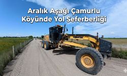 Aralık Aşağı Çamurlu Köyünde Yol Seferberliği: İl Özel İdaresi Ekipleri Aralıksız Çalışıyor