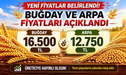 Buğday ve Arpa Taban Fiyatına Tepki Gösterildi