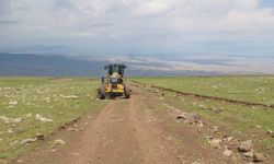 Iğdır İl Özel İdaresi Hafta Sonu da Sahada: Yayla Yollarında Hummalı Çalışma!