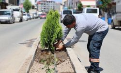 Iğdır Belediyesi Park ve Bahçelere Damlama Sulama Hattı Çekiyor