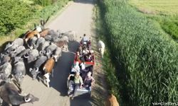 IĞDIR’DA “ANADOLU SAFARİSİ” YOĞUN İLGİ GÖRÜYOR