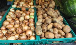 IĞDIR’DA PATATES CEP YAKIYOR: KİLOGRAMI 40 TL’YE YÜKSELDİ!