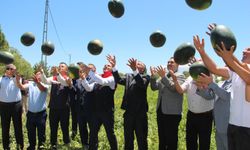 IĞDIR’DA BEREKETLİ BAŞLANGIÇ: YILIN İLK KARPUZ HASADI YAPILDI!