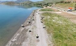 Hazar’da temizlik 12 ton atık toplandı